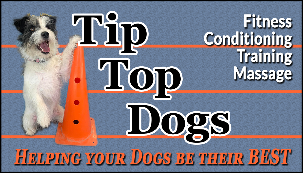Tip Top Dogs