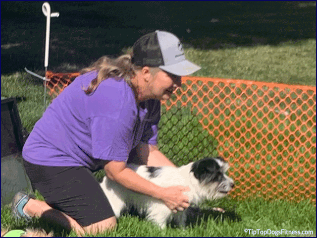 Brenda, professional dog trainer with JRT Piper