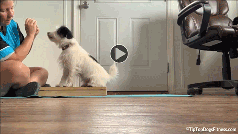 click for video of Brenda and Piper Stormy - Body Awareness Class