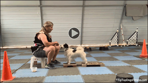 click for video of Brenda and Piper Stormy - Body Awareness Class